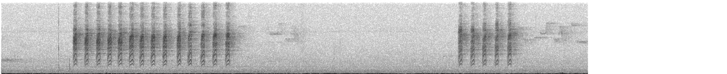 Arañero Chico - ML646301093