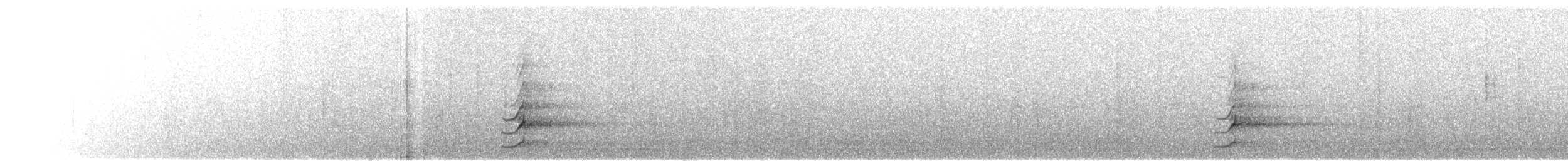 Cárabo Común - ML646301158