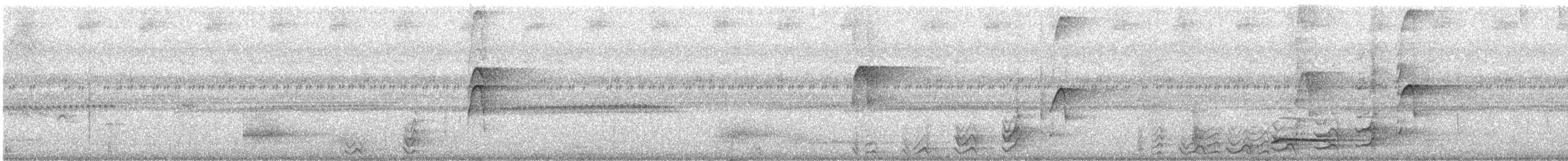 Nínox Punteado - ML646301492