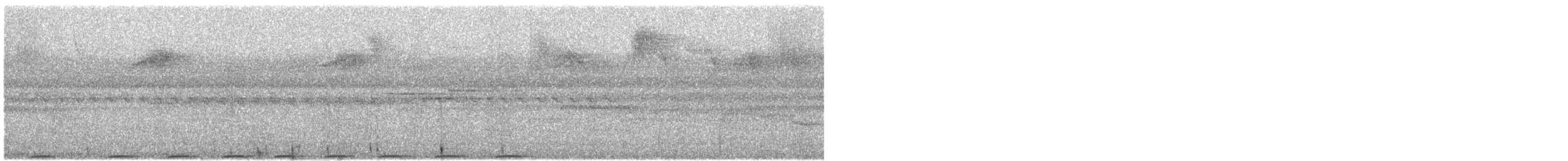 Superb Fruit-Dove - ML646302002