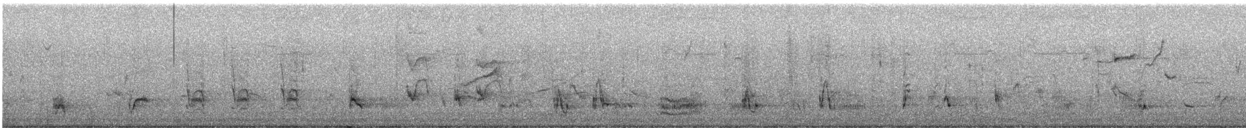 California Thrasher - ML646302066