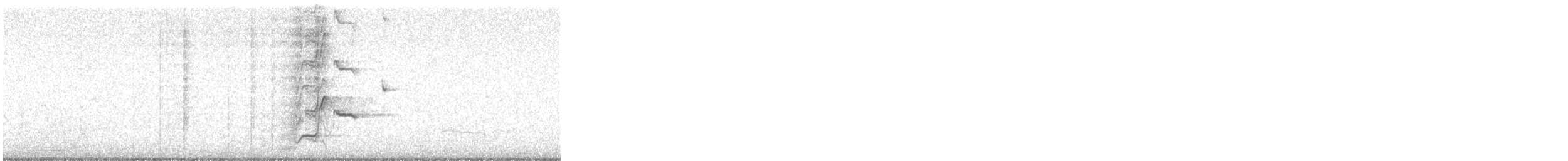 Great-tailed Grackle - ML646302096