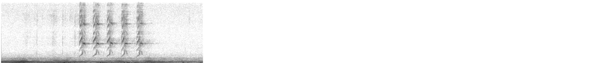 Great-tailed Grackle - ML646302098