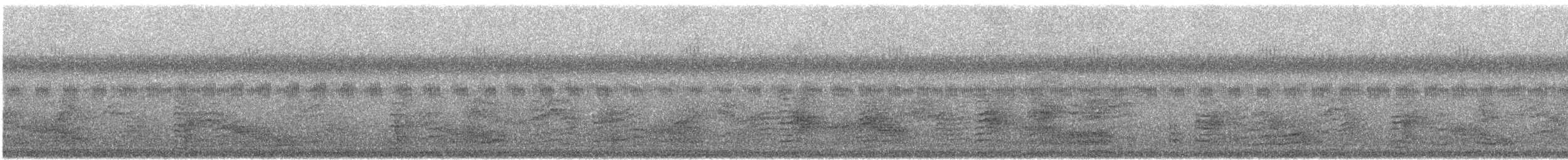 Isabelline Bush-hen - ML646302109