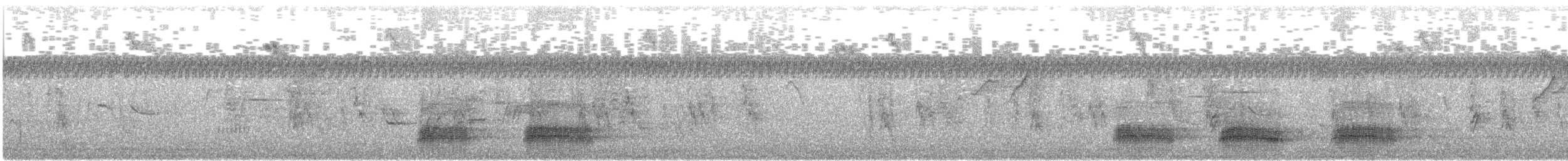 Sulawesi Crow - ML646302229