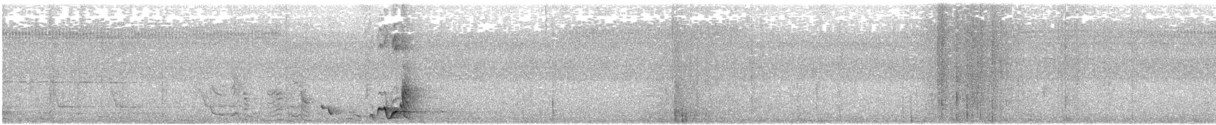 Halmahera Oriole - ML646302696