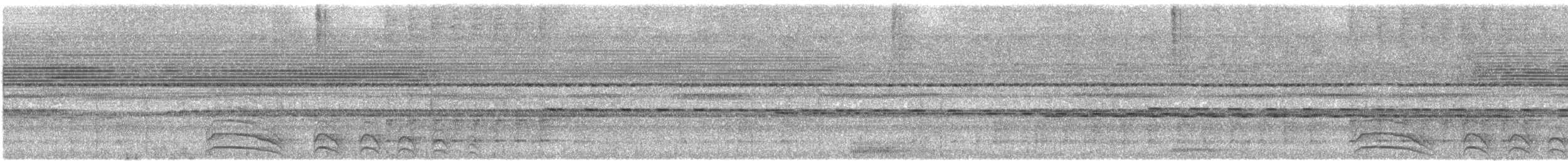 Moluccan Owlet-nightjar - ML646303067