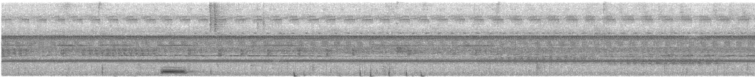 výreček molucký [skupina magicus] - ML646303104