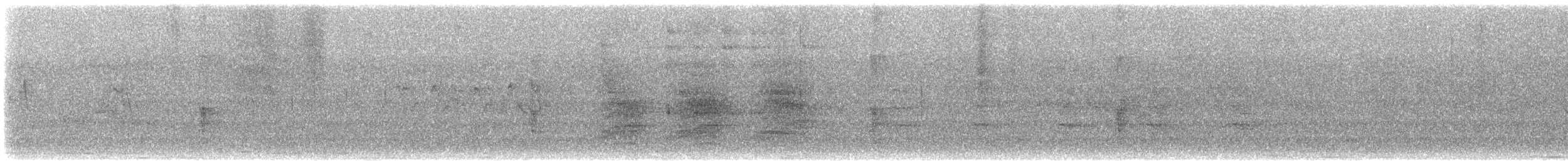 Nuttall's Woodpecker - ML646303406