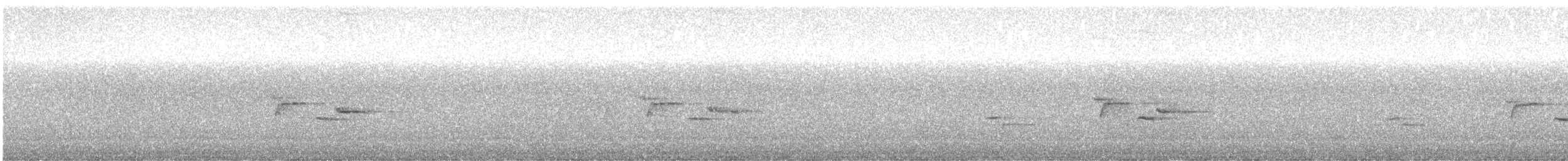 Slaty-backed Nightingale-Thrush (Cordilleran) - ML646303766