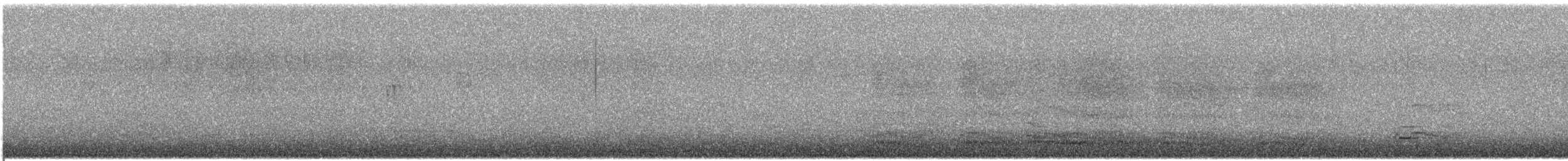 racek kroužkozobý - ML646304203