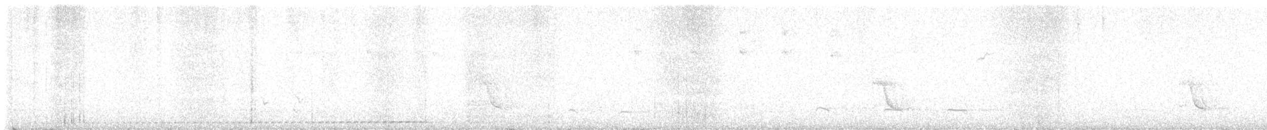 Undulated Antpitta - ML646304603