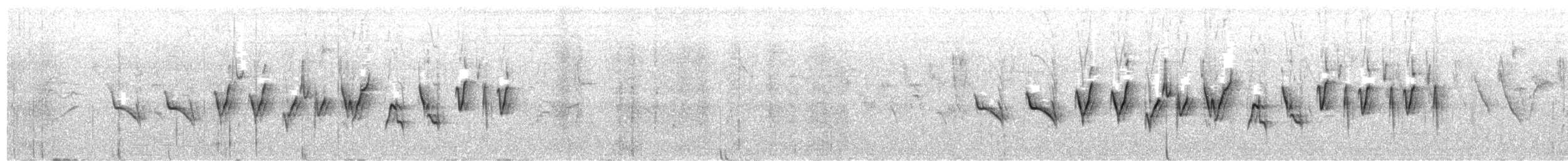 Tropeiro Seedeater - ML646304881