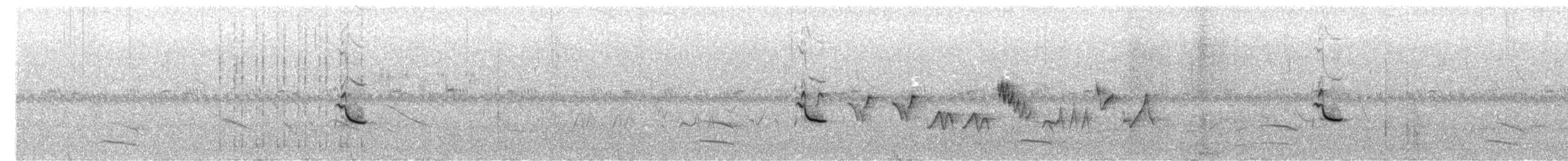 Tropeiro Seedeater - ML646304884