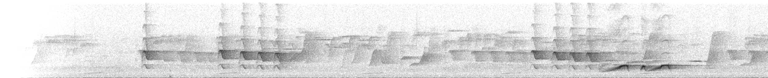 Australian Logrunner - ML646305016