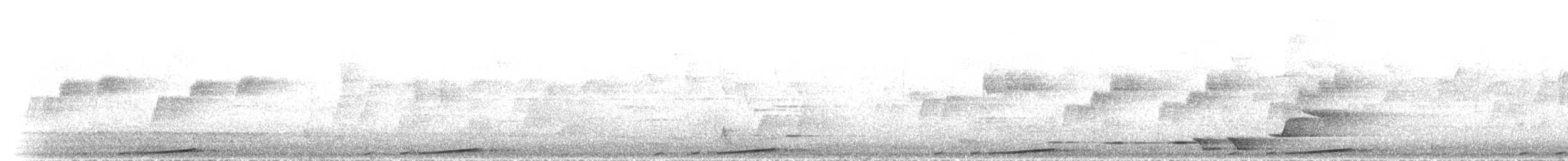 Brown Cuckoo-Dove - ML646305021