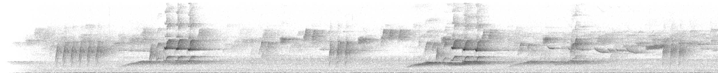 Australian Logrunner - ML646305050