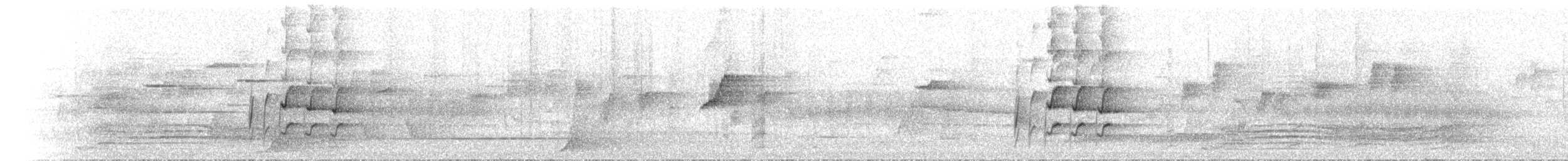 Australian Logrunner - ML646305054