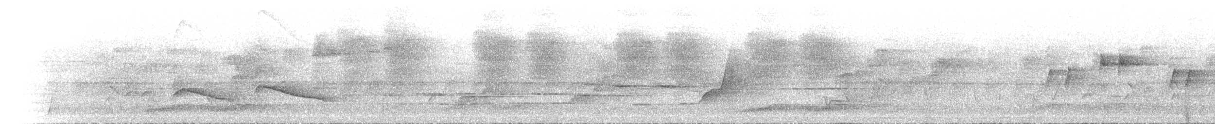 Shining Bronze-Cuckoo - ML646305174