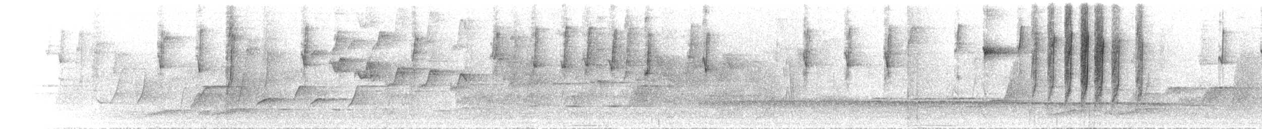 Large-billed Scrubwren - ML646305222