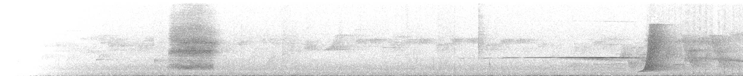 Regent Bowerbird - ML646305249