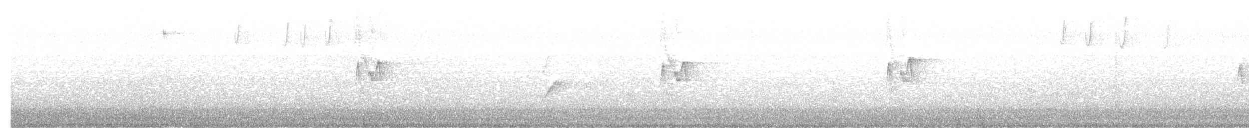 Luì di Hume - ML646305652