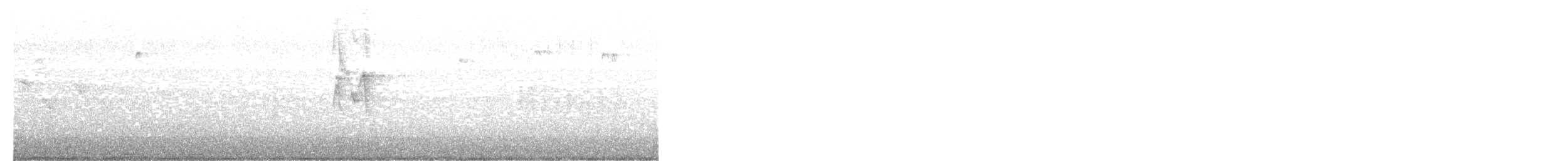 Luì di Hume - ML646305662