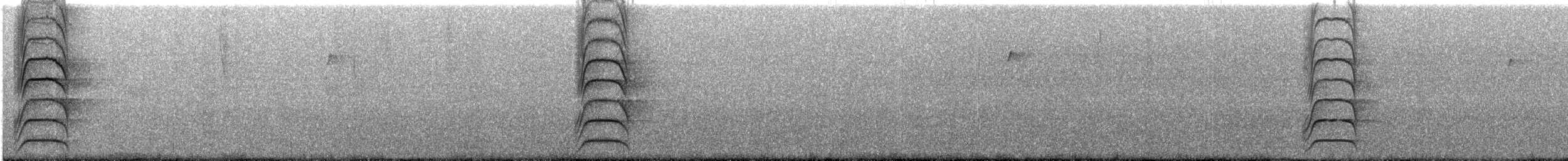 Great Kiskadee - ML646306533