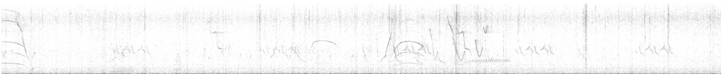 Chacosaltator - ML646307503