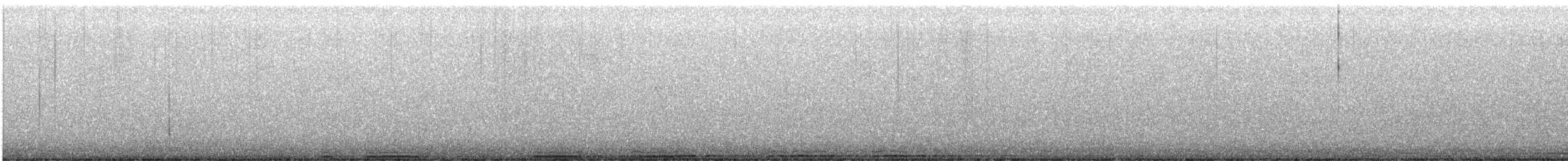 Búho Americano - ML646308087