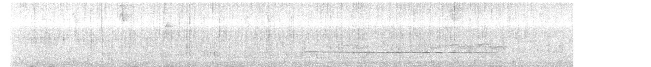 Weißbinden-Zaunkönig - ML646308516