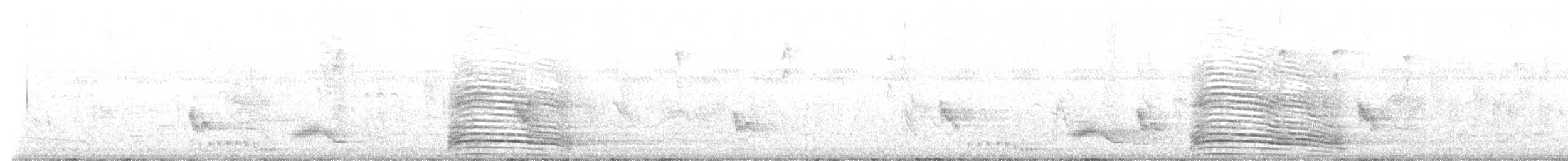 Hagedaschibis - ML646308814