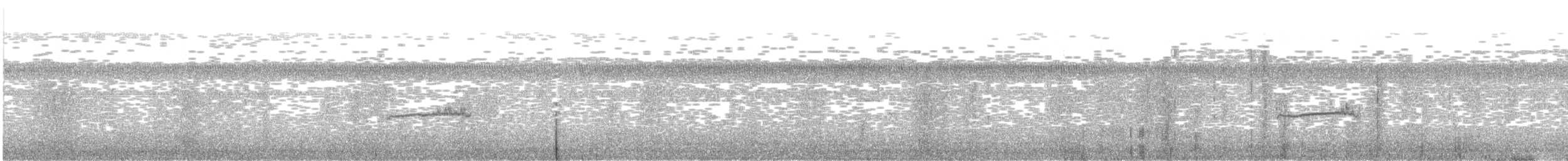 Western Wood-Pewee - ML646309456