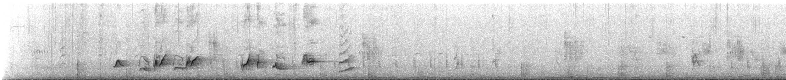 Krummschnabel-Spottdrossel [palmeri-Gruppe] - ML646310014