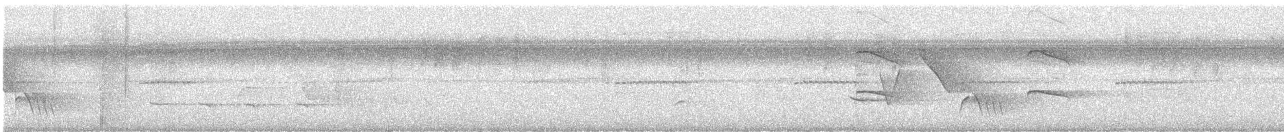 Happy Wren - ML646310123