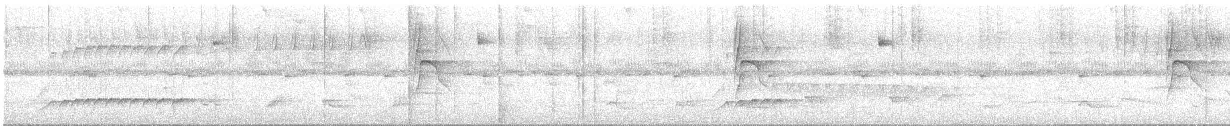 Gray-hooded Attila - ML646310456