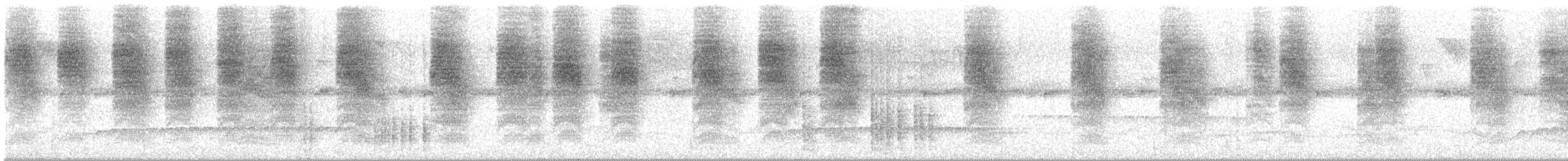 Southern House Wren - ML646310564