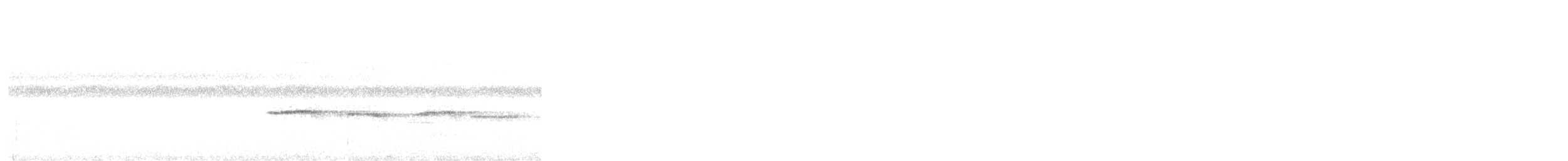 Cordillera Azul Antbird - ML646311084