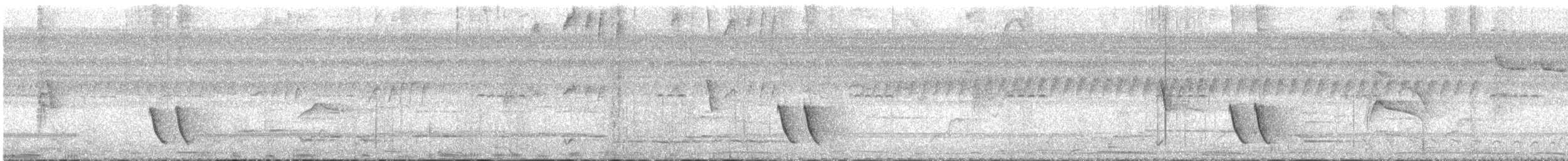 Buff-breasted Wren - ML646311224