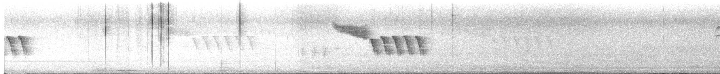 Bewick's Wren - ML646311413