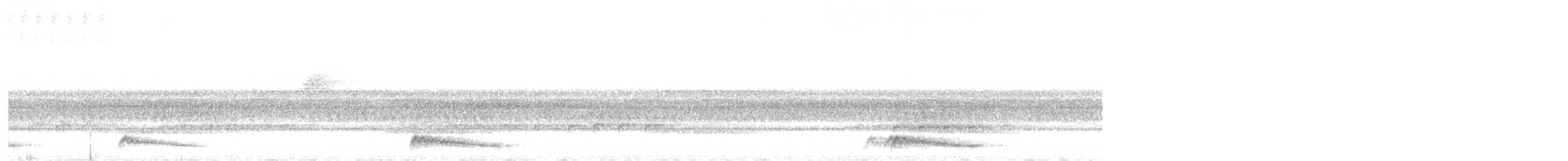 Ocellated Poorwill - ML646311678