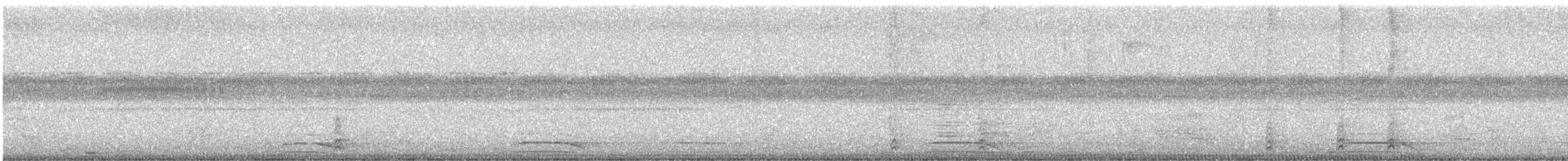 Carnifex à collier - ML646312765