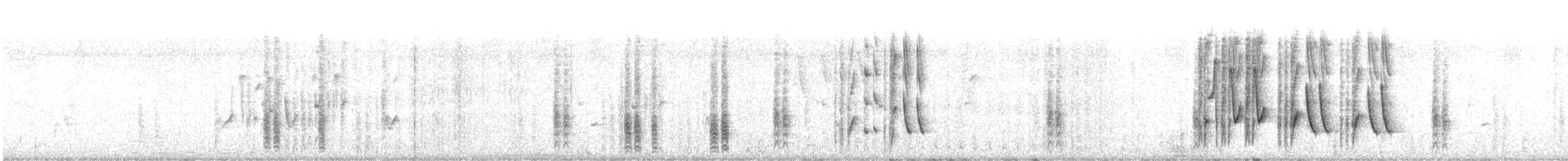 Brown-and-yellow Marshbird - ML646312772