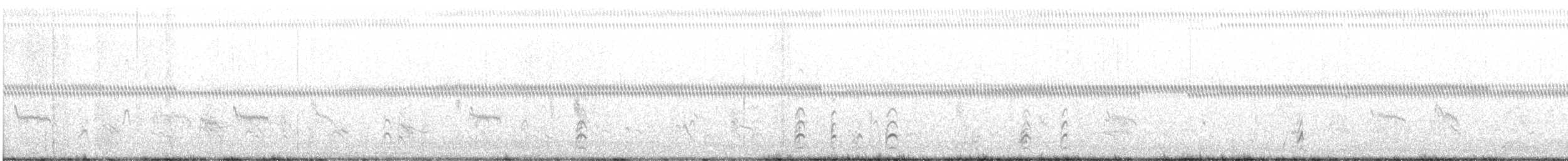 Piovanello pancianera - ML646312848