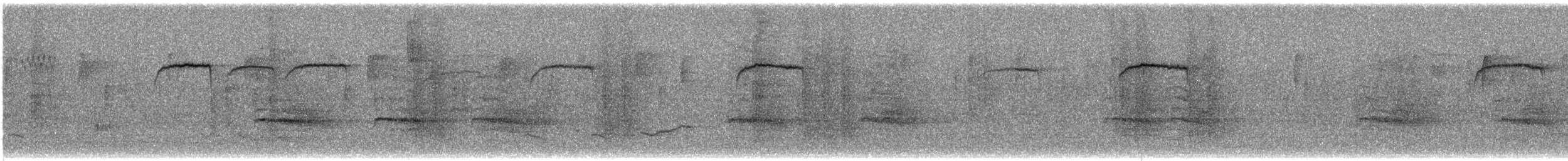 ヒメレンジャク - ML646312961