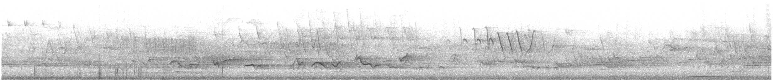 Pileated Woodpecker - ML646312987