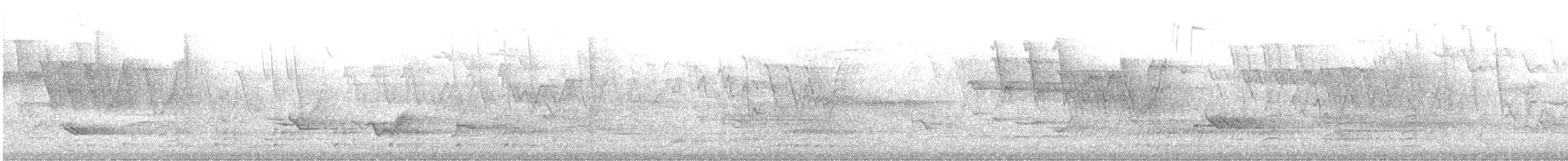 Pileated Woodpecker - ML646312990