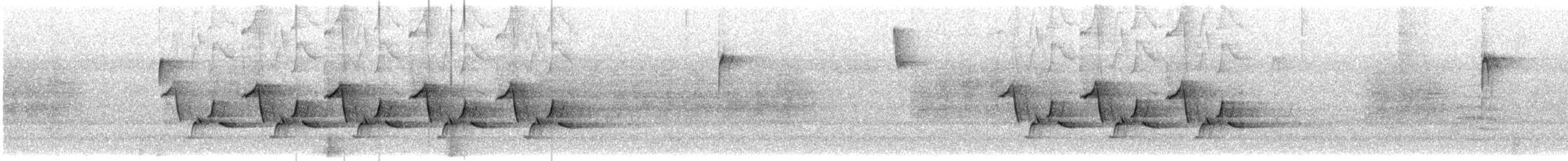 Cucarachero de Carolina - ML646313010