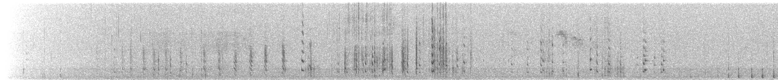 Red-breasted Nuthatch - ML646313097