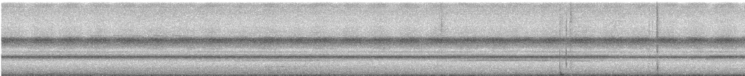 Mottled Owl - ML646313292